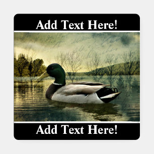 Vintage Mallard Duck Weathered Postcard Coaster Set