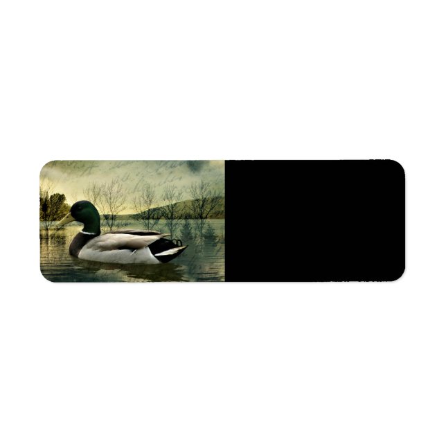 Vintage Mallard Duck Weathered Postcard Label (Front)