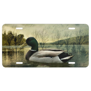 Vintage Mallard Duck Weathered Postcard License Plate