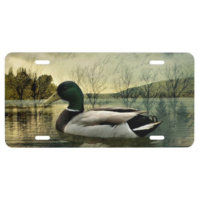 Vintage Mallard Duck Weathered Postcard License Plate (Front)
