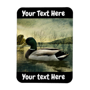 Vintage Mallard Duck Weathered Postcard Magnet