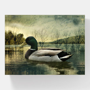 Vintage Mallard Duck Weathered Postcard Paperweight