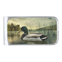 Vintage Mallard Duck Weathered Postcard