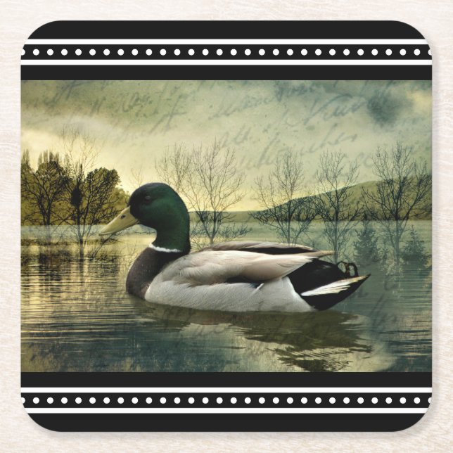 Vintage Mallard Duck Weathered Postcard  Square Paper Coaster (Front)