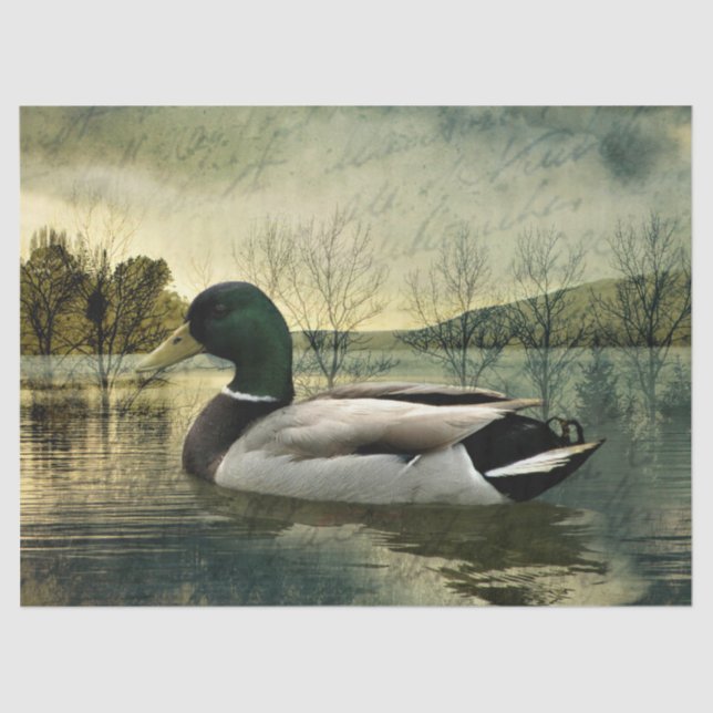 Vintage Mallard Duck Weathered Postcard Tissue Paper (Front)