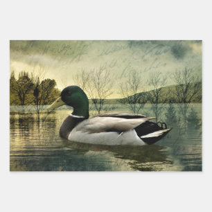 Vintage Mallard Duck Weathered Postcard Wrapping Paper Sheets