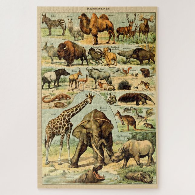 Vintage Mammals Animals Old Illustration Art Jigsaw Puzzle (Vertical)
