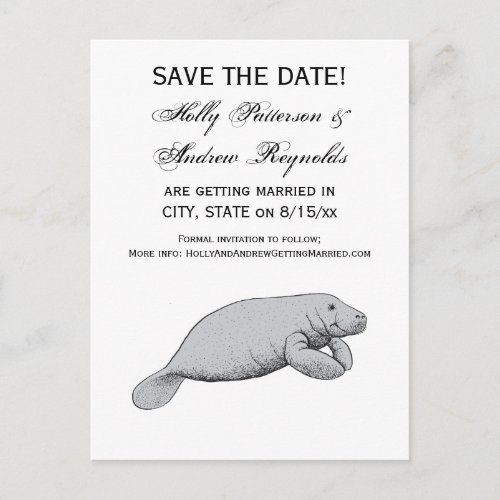 Vintage Manatee Drawing Announcement Postcard
