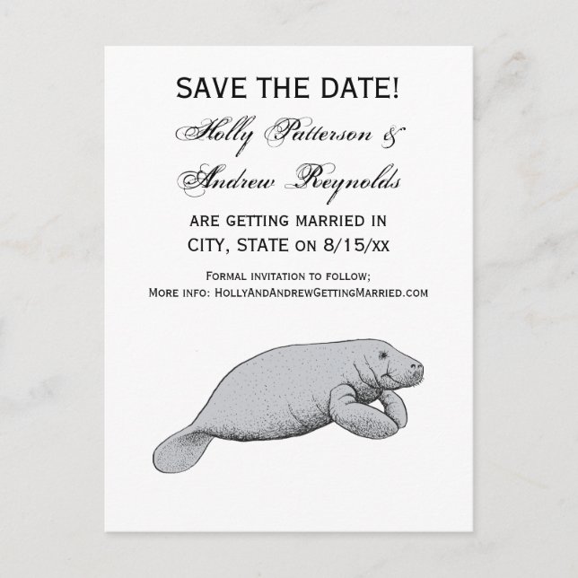 Vintage Manatee Drawing Announcement Postcard (Front)