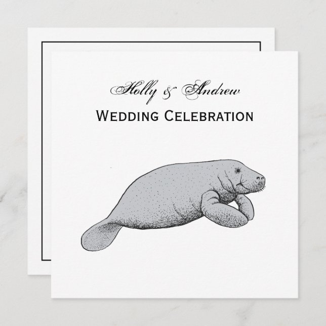 Vintage Manatee Drawing Invitation (Front/Back)