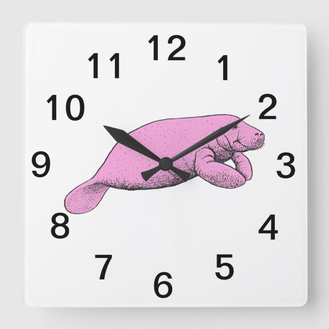 Vintage Manatee Drawing Pink Square Wall Clock (Front)