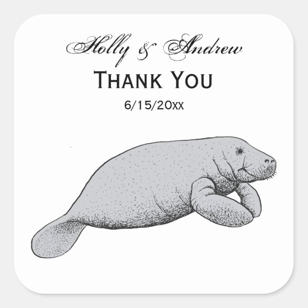 Manatee Drawing Images - Free Download on Freepik