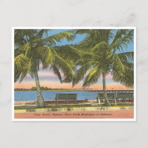 Vintage Manatee River Bradenton Florida Postcard
