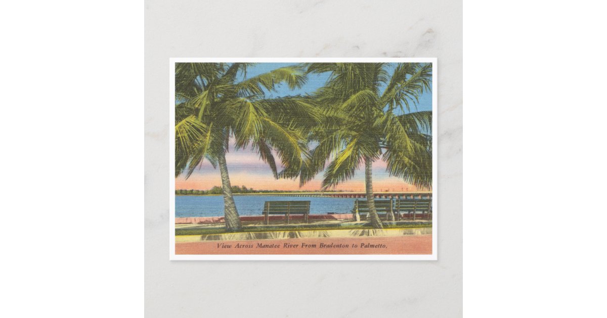 Vintage Manatee River Bradenton Florida Postcard | Zazzle