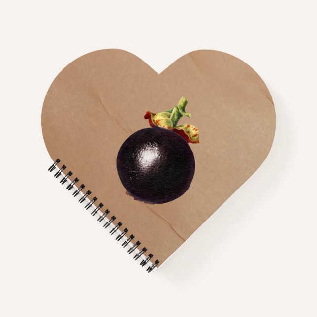 Vintage Mangosteen Illustration Notebook (Front)