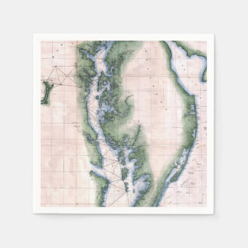 Vintage Map Chesapeake Bay and Delaware Bay Napkins