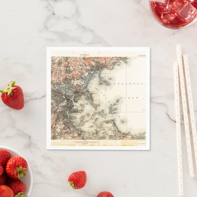 Vintage Map of Boston Napkins (Insitu)