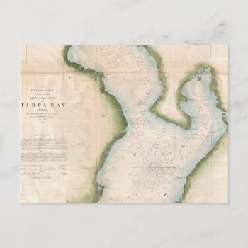 Vintage Map Of Coastal Tampa Bay (1855) Postcard by Alleycatshirts at Zazzle