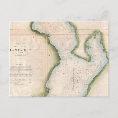 Vintage Map of Coastal Tampa Bay 1855 Postcard