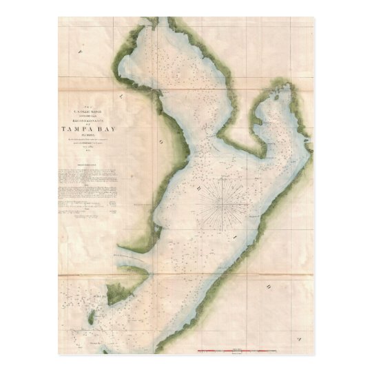 Vintage Map Of Coastal Tampa Bay 1855 Postcard Zazzle Com