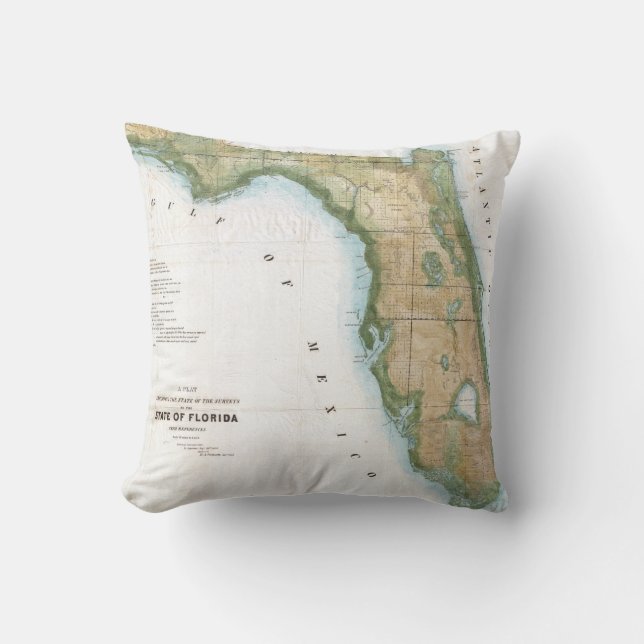 Vintage Map of Florida (1848) Throw Pillow (Front)