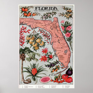 Vintage Map of Florida (1917) Poster