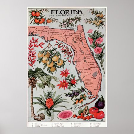 Vintage Map Of Florida (1917) Poster