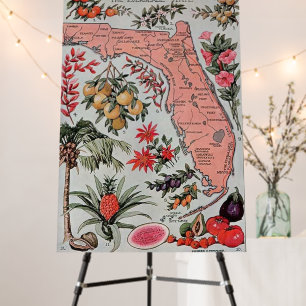 Vintage Map of Florida Foam Board