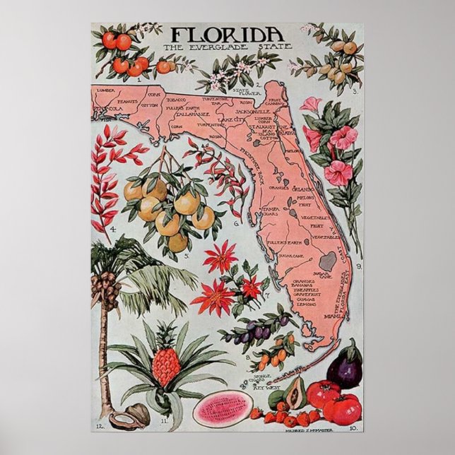 Vintage Map of Florida Poster (Front)