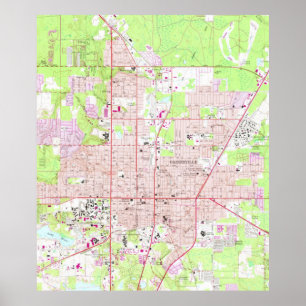 Vintage Map of Gainesville Florida (1966) Poster