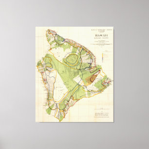 Vintage Map of Hawaii Island (1906) Canvas Print