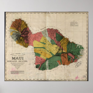 Vintage Map of Maui Hawaii (1885) Poster
