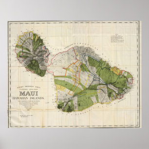 Vintage Map of Maui Island (1906) Poster
