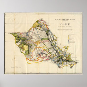 Vintage Map of Oahu Hawaii (1906) Poster