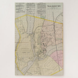 Vintage Map of Salisbury MD (1877) Jigsaw Puzzle