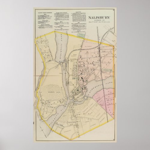 Vintage Map of Salisbury MD 1877 Poster