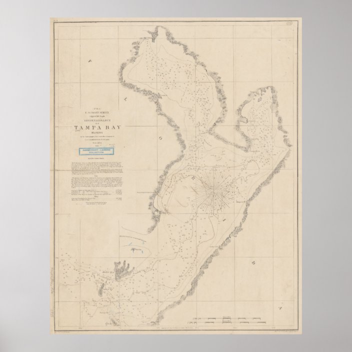Vintage Map Of Tampa Bay Fl 1855 Poster Zazzle Com