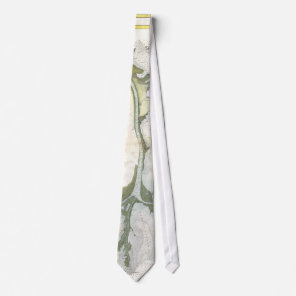 Vintage Map of The Mississippi River Delta (1874) Tie