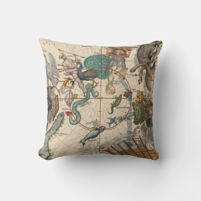 Vintage Map of the South Pole Throw Pillow (Front)