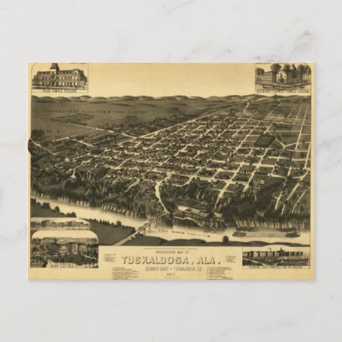 Vintage Map of Tuscaloosa Alabama 1887 Postcard