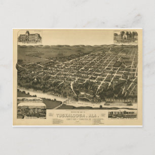 Vintage Map of Tuskaloosa, Alabama - 1887 Postcard