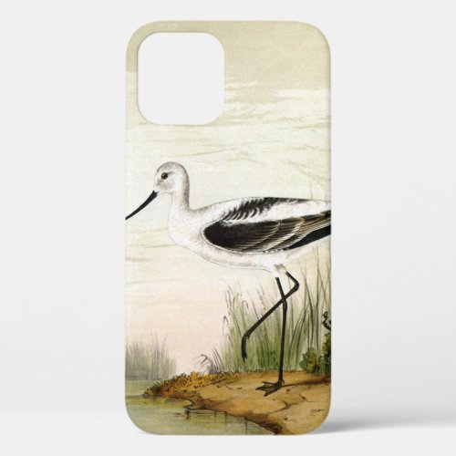 Vintage Marine Life Shorebirds Avocet Birds iPhone 12 Case