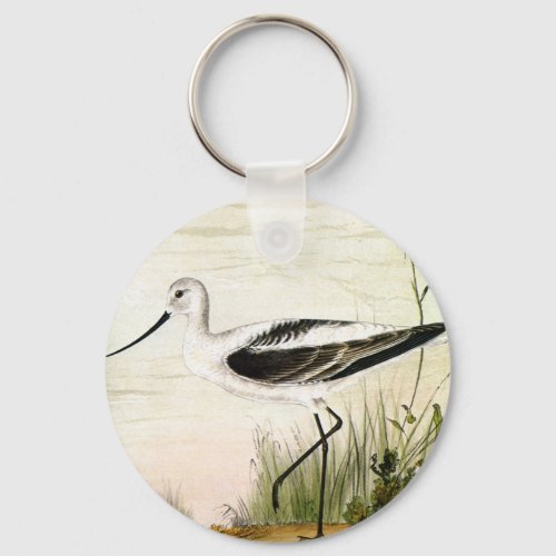 Vintage Marine Life Shorebirds Avocet Birds Keychain