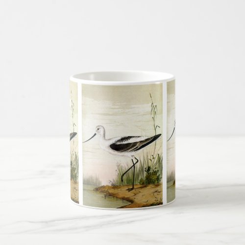 Vintage Marine Life Shorebirds Avocet Birds Mug