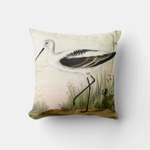 Vintage Marine Life Shorebirds Avocet Birds Throw Pillow