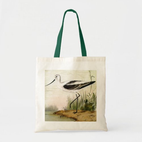 Vintage Marine Life Shorebirds Avocet Birds Tote Bag