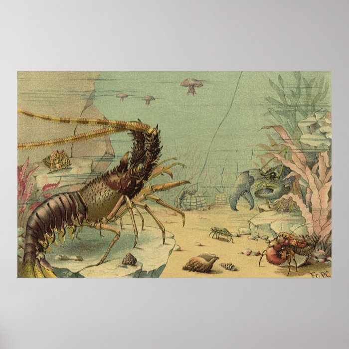 Vintage Marine Sea Life Animals in the Ocean Poster | Zazzle