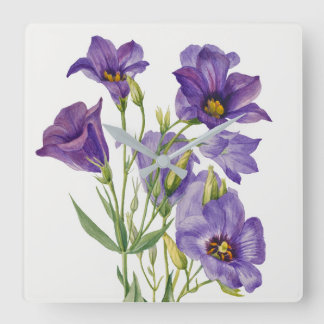 Vintage Mary Vaux Walcott Flowers Botanicals Square Wall Clock