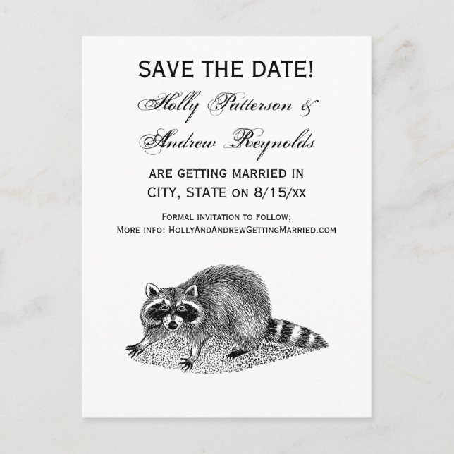 Vintage Masked Raccoon Announcement Postcard (Front)