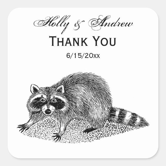 Vintage Masked Raccoon Square Sticker (Front)